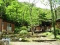 桐花園 写真