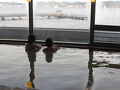 桜島マグマ温泉 国民宿舎 レインボー桜島 写真
