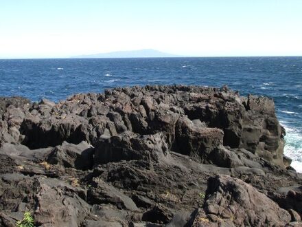 プチリゾート 赤い馬 写真