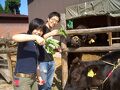 白川郷　民宿　大田屋 写真