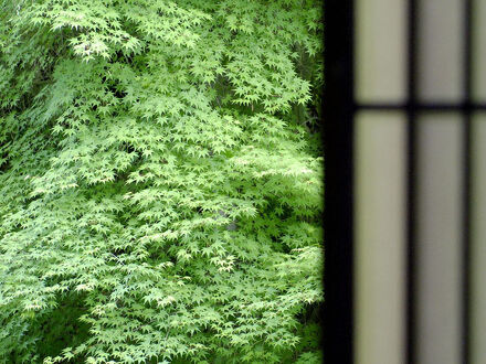 湯の花温泉 すみや亀峰菴 写真