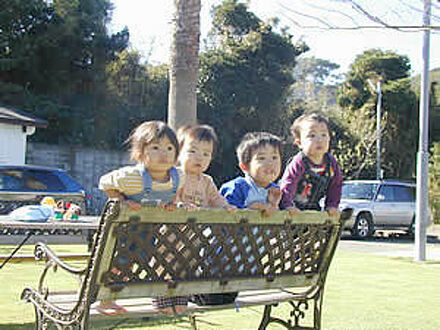 ペンション 菜の花 写真
