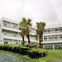 マリンプラザ　ワイズドリーム　＜大島＞ 写真