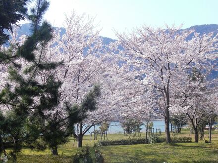 城崎　温もりの宿　ひだまり 写真