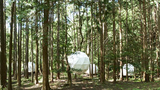 泊まれる公園 INN THE PARK 沼津