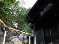 柚子屋旅館 写真