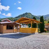 Cottage Harvest tree 写真