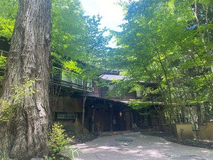 毒沢鉱泉 神乃湯 写真