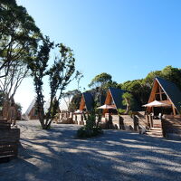 THE DOG DEPT GARDEN RESORT 館山犬石 写真