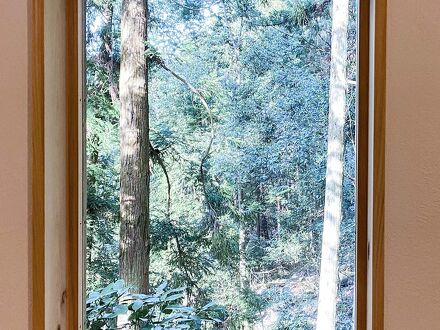 とようけのもり 写真