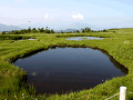 越後湯沢の温泉宿・湯沢スキーハウス 写真