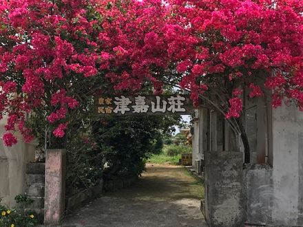 農家民宿 津嘉山荘 写真