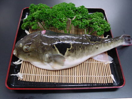 民宿なぎさ 写真