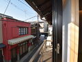 京都 ひまわり 清水寺 写真