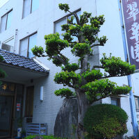 旅館 翠幸園 写真