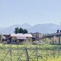 ワイナリーの宿　田舎倶楽部 写真