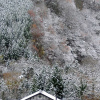 湯西川温泉　民宿やま久　囲炉裏の温泉民宿 写真