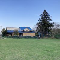 比良招福温泉　ホリデーアフタヌーン 写真