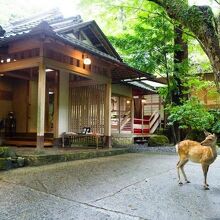 写真：楽天トラベル