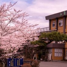 写真：楽天トラベル