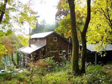 ｃｏｔｔａｇｅ　樹樹 写真
