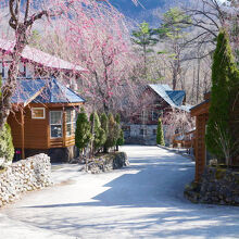 写真：楽天トラベル