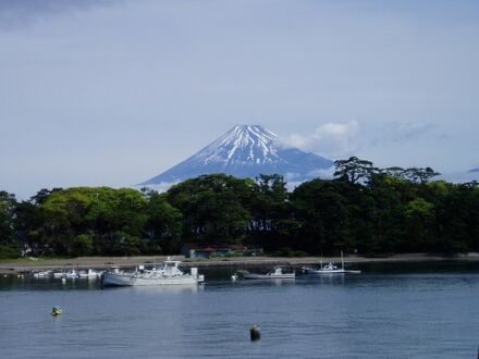 民宿 磯料理 浜又 写真