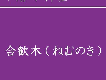 オーシャンテラス　あじさい 写真