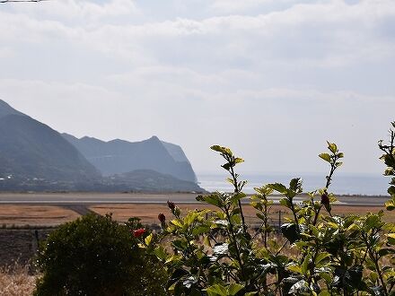 ロッヂ・フリージア　＜八丈島＞ 写真