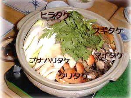 温泉ロッヂ　たかね 写真