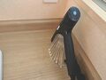 御宿　はなわらび 写真