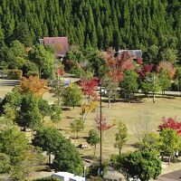 うめキャンプ村 写真