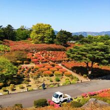 写真：楽天トラベル