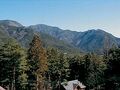 貸別荘 ノアの森 写真