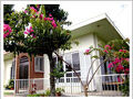 ｓａｆｌａｎ　ｍｉｙａｋｏｊｉｍａ　＜宮古島＞ 写真