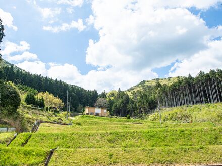 NIPPONIA 後川 天空農園 写真