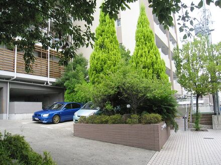 Backpackers Hotel NOOSA JAPAN in Takatsuki Tonda 写真