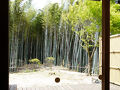 山香温泉 風の郷 写真