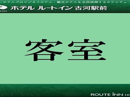 ホテルルートイン 古河駅前 写真