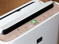 fico HIJI 写真