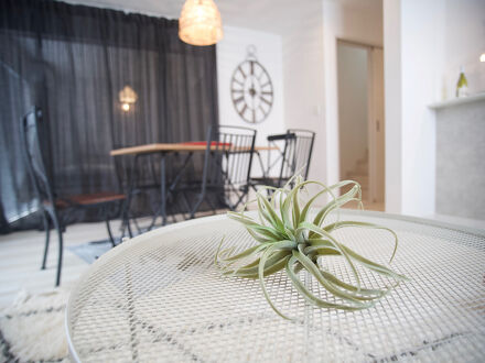 果報家つきしろ 写真