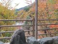 道志川温泉　紅椿の湯 写真