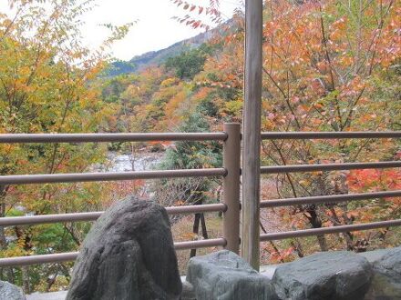 道志川温泉　紅椿の湯 写真
