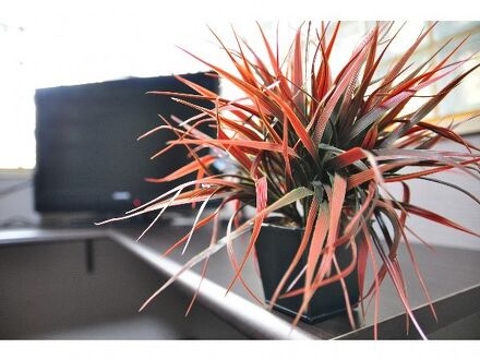 カプセル＆サウナ　コスモプラザ赤羽 写真