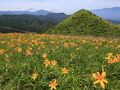 野辺山高原　民宿りんどう ＜長野県南佐久郡＞ 写真