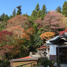 写真：楽天トラベル