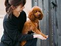 山座熊川 写真