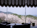 旅荘 海の蝶 写真