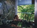 陣馬の湯　旅館　陣渓園 写真