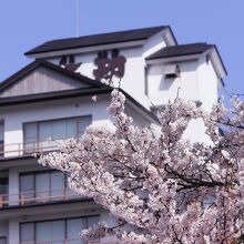 写真：楽天トラベル